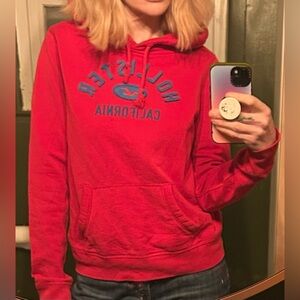 Y2K Hollister Hooded Sweatshirt